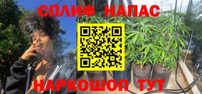герыч Гагарин