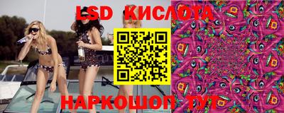 молекула духа Гатчина