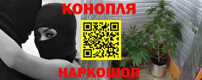 молекула духа Гатчина