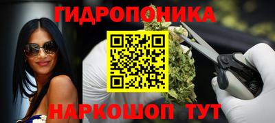 молекула духа Гатчина